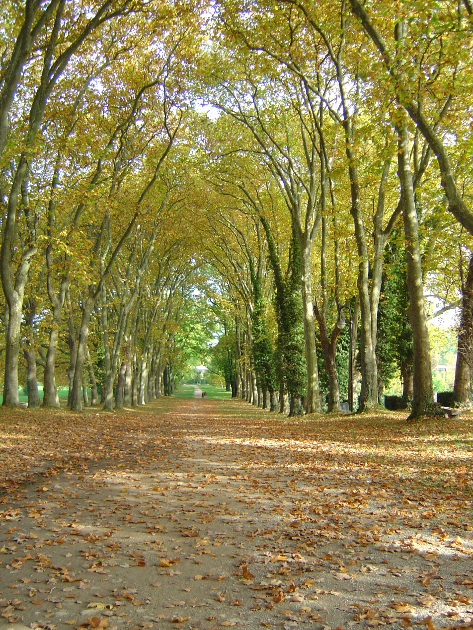 Colombier NE - Auvernier