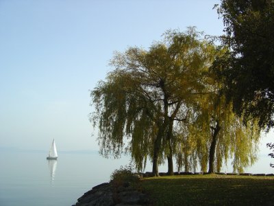 Coup d'il sur le lac de Neuchâtel (par temps brumeux)