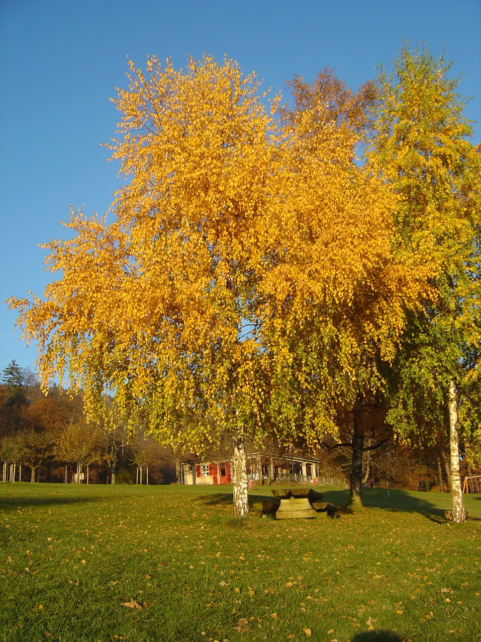 Parc de Pierre-à-Bot