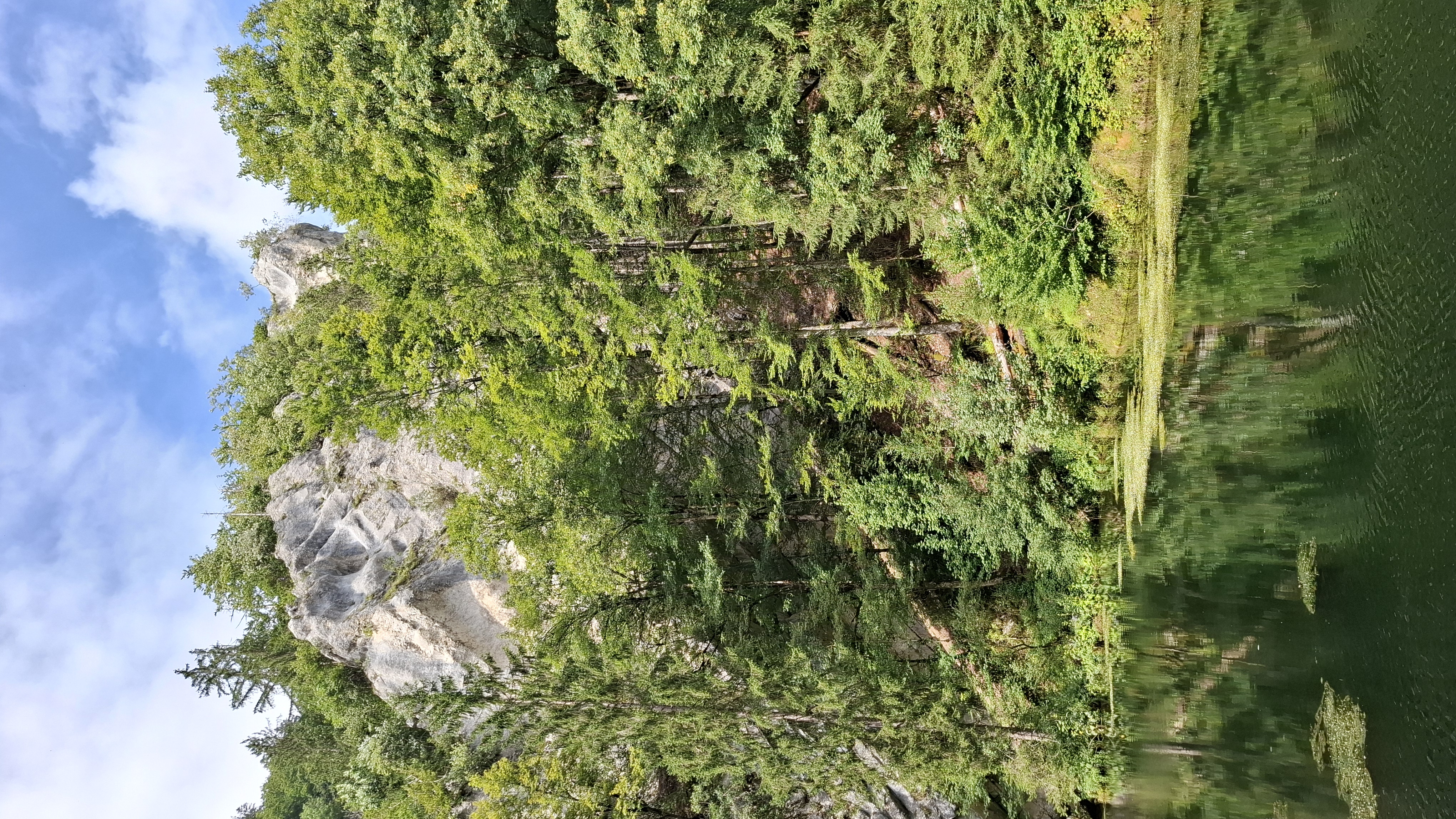 Source et Roues de l'Areuse