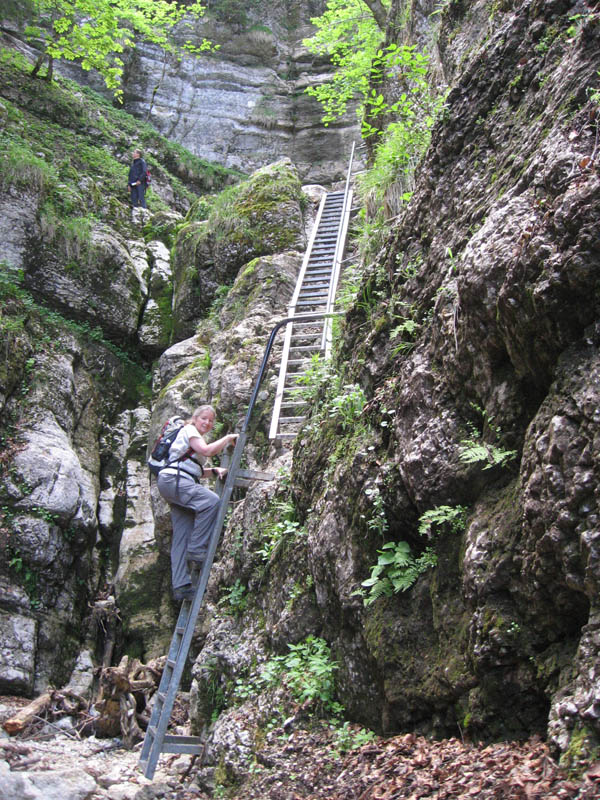 Combe Grède