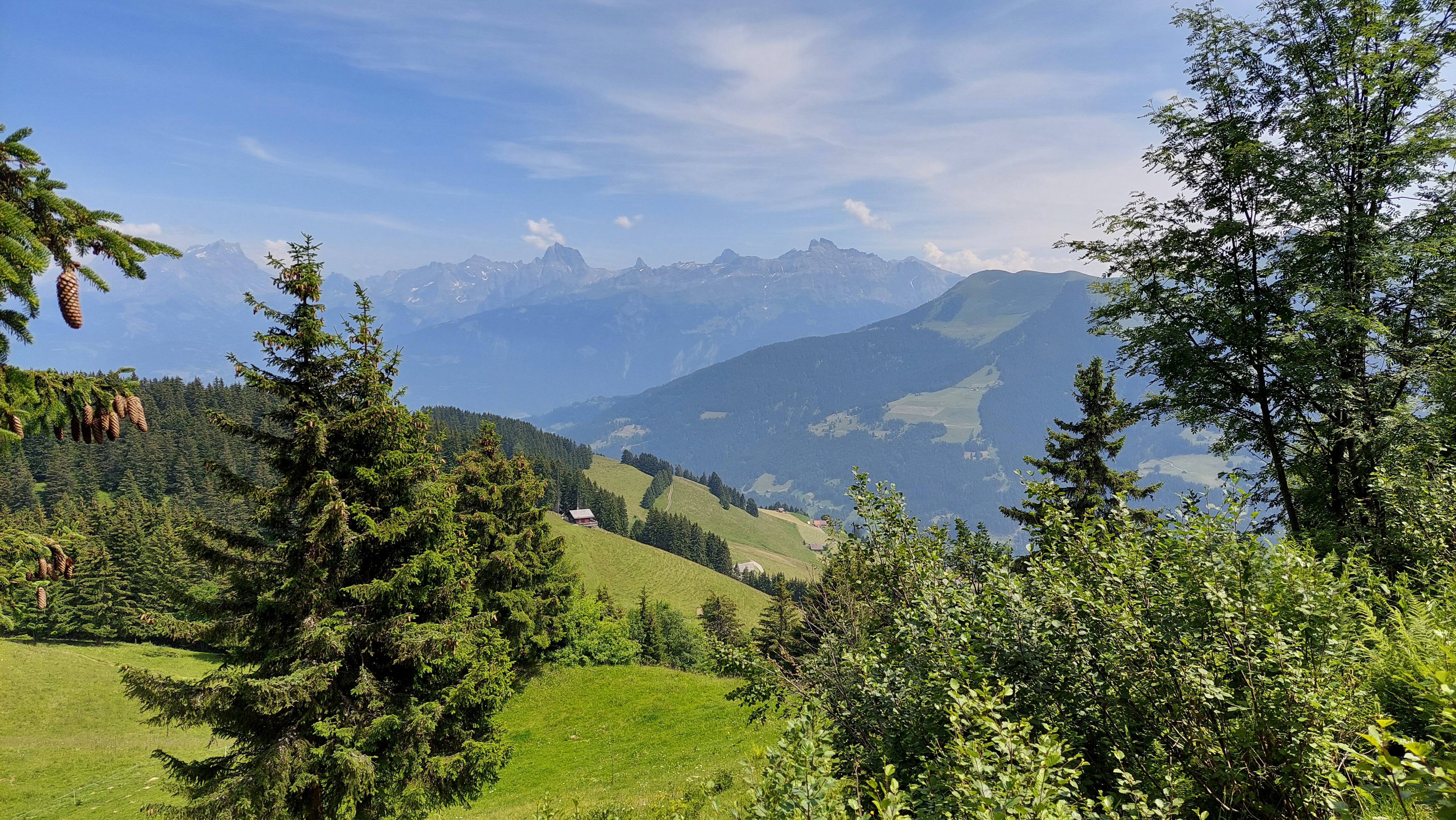 La Foilleuse - Morgins