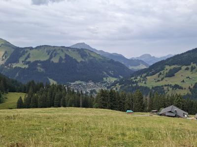 Vue sur Morgins