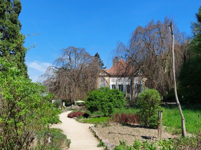 <p>Arrivée à Champ-Pittet</p>