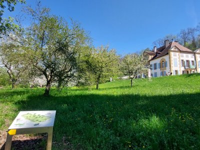 <p>A Champ-Pittet, le château est situé au milieu d'un écrin de verdure</p>