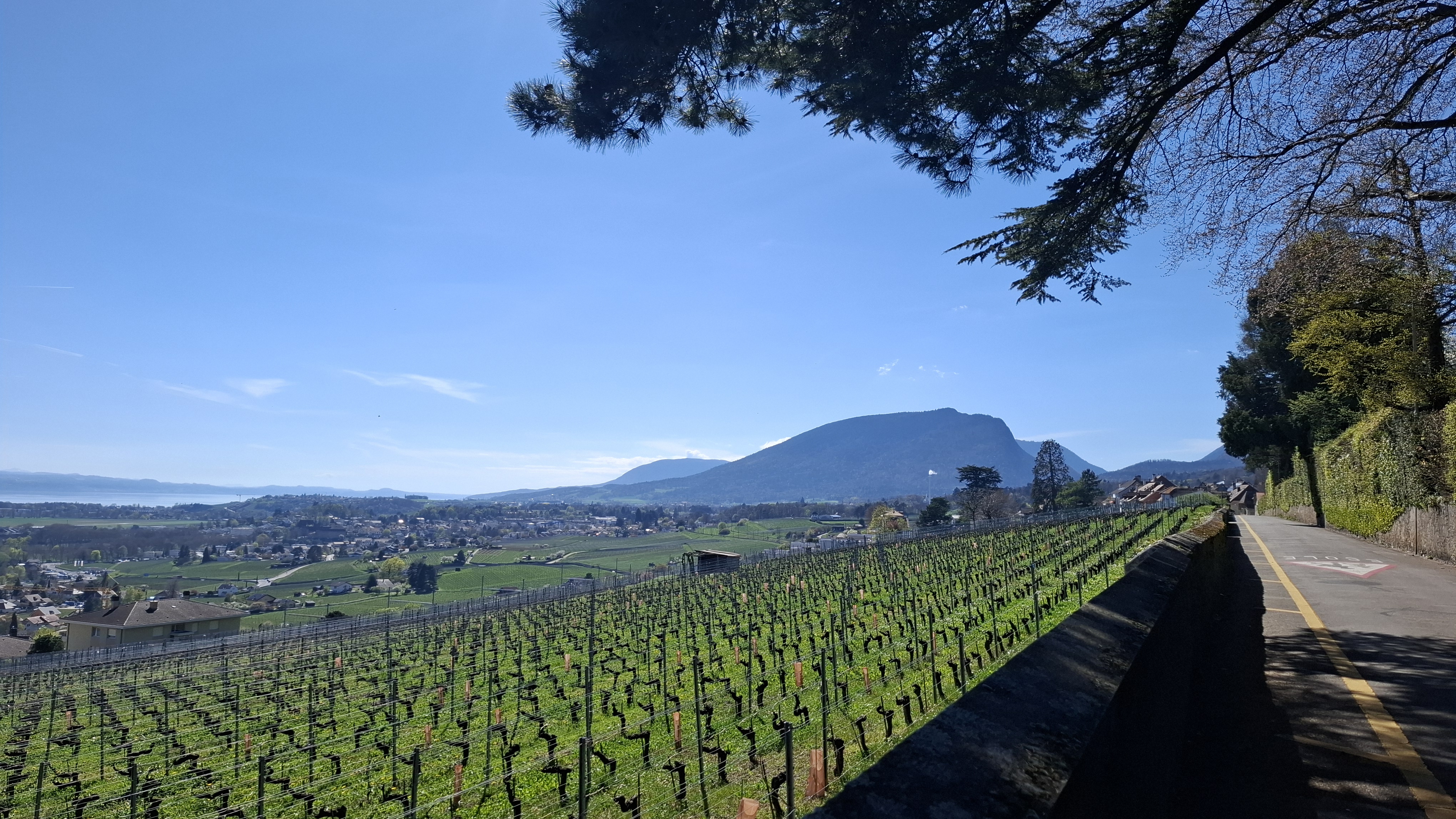 Promenades villageoises