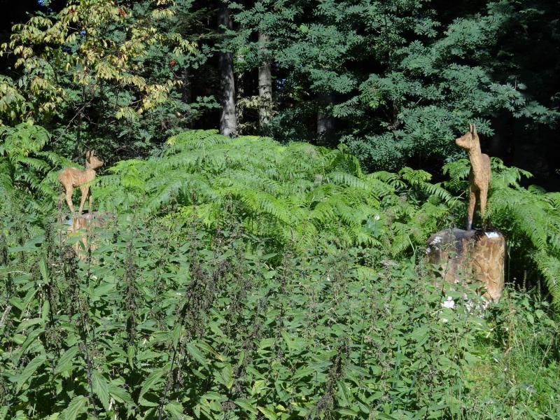 Sentier des sculptures à Sorens