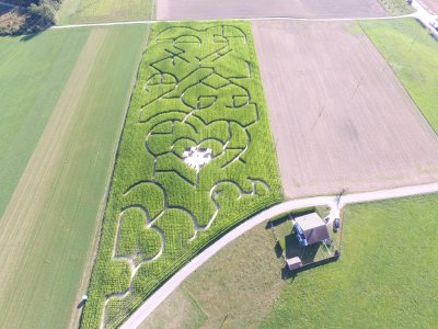 Le labyrinthe en 2021: les curs