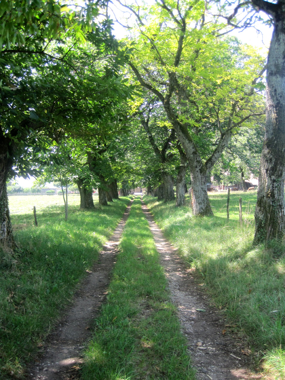 Trois-Rods et alentours