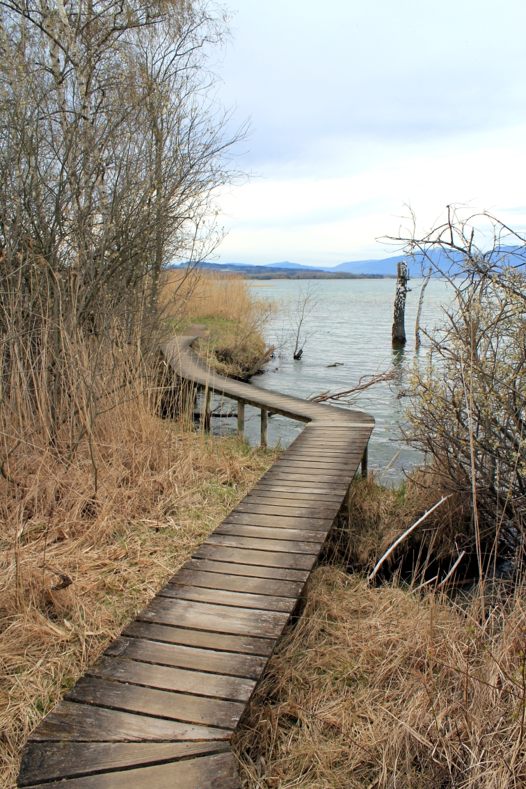 Cheyres, bord du lac