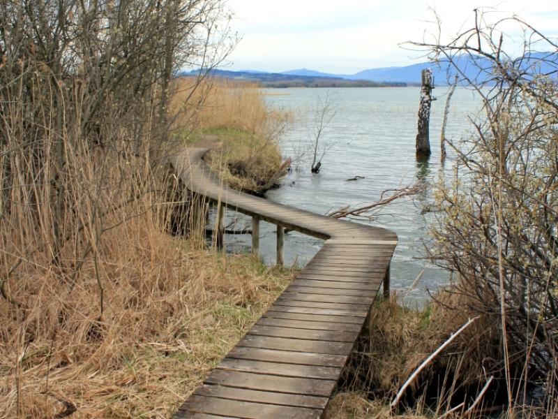Cheyres, bord du lac