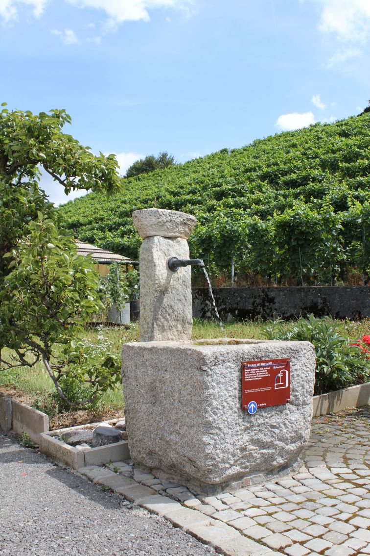 Balade des fontaines à Aigle