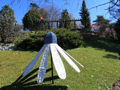 Dans le jardin botanique