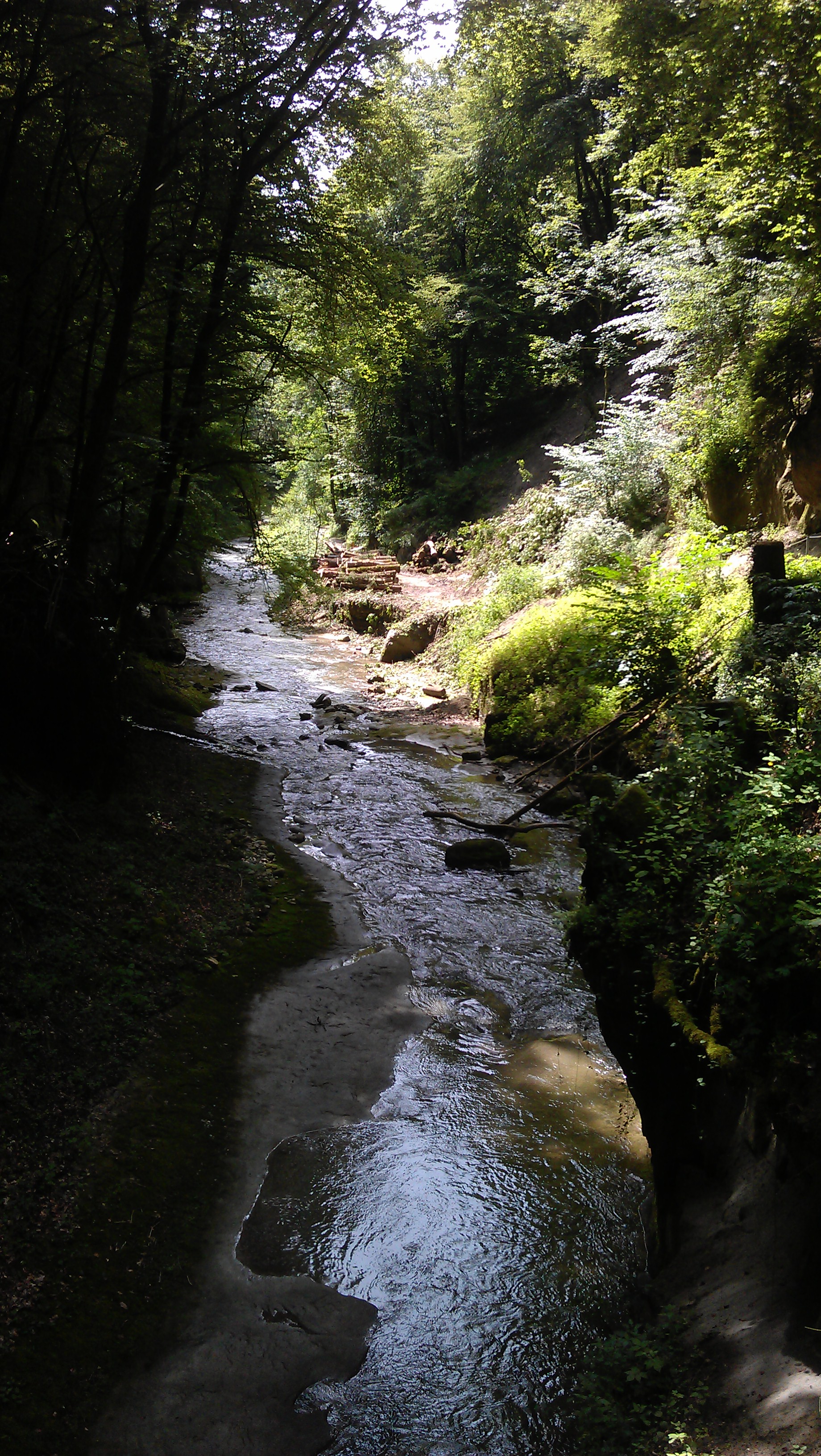 Vallée du Gottéron 
