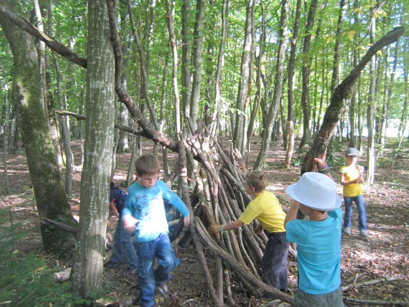Bois de Jussy