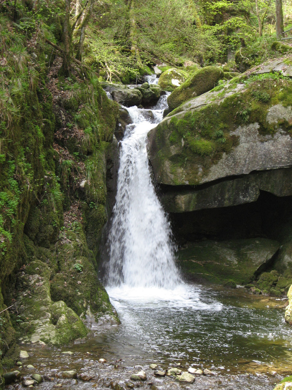 Gorges de Douanne / Twannbachschlucht