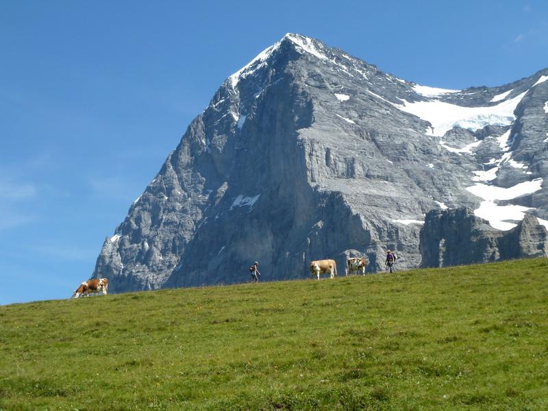 Eiger-trail