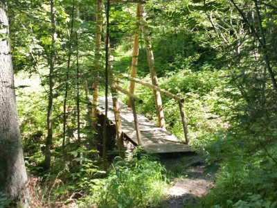 Passerelle en bois