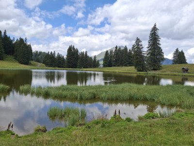 Le lac de Conche