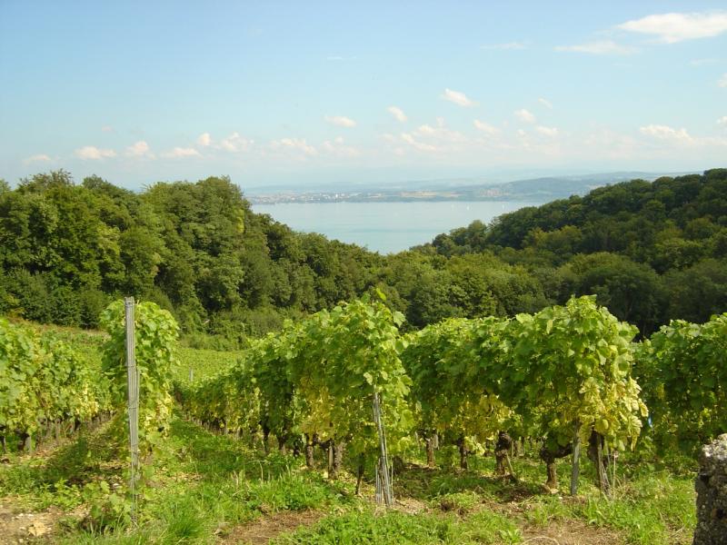 Gorges de La Vaux