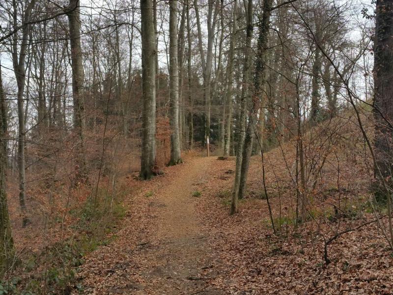 Sentier du Bois de la Côte