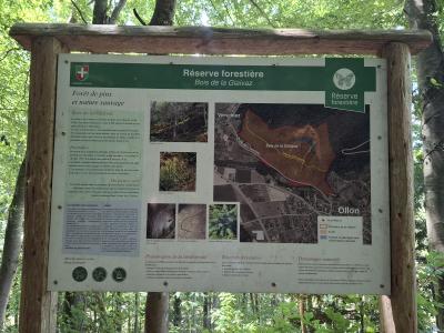 Réserver forestière Bois de la Glaivaz