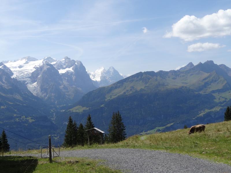 Muggestutz 2, Chemin des nains
