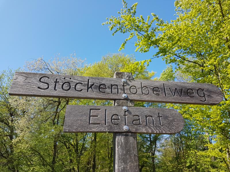 Le ruisseau de l'éléphant
