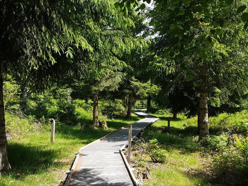 Sentier handicap