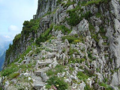 Le jardin alpin: La Rambertia