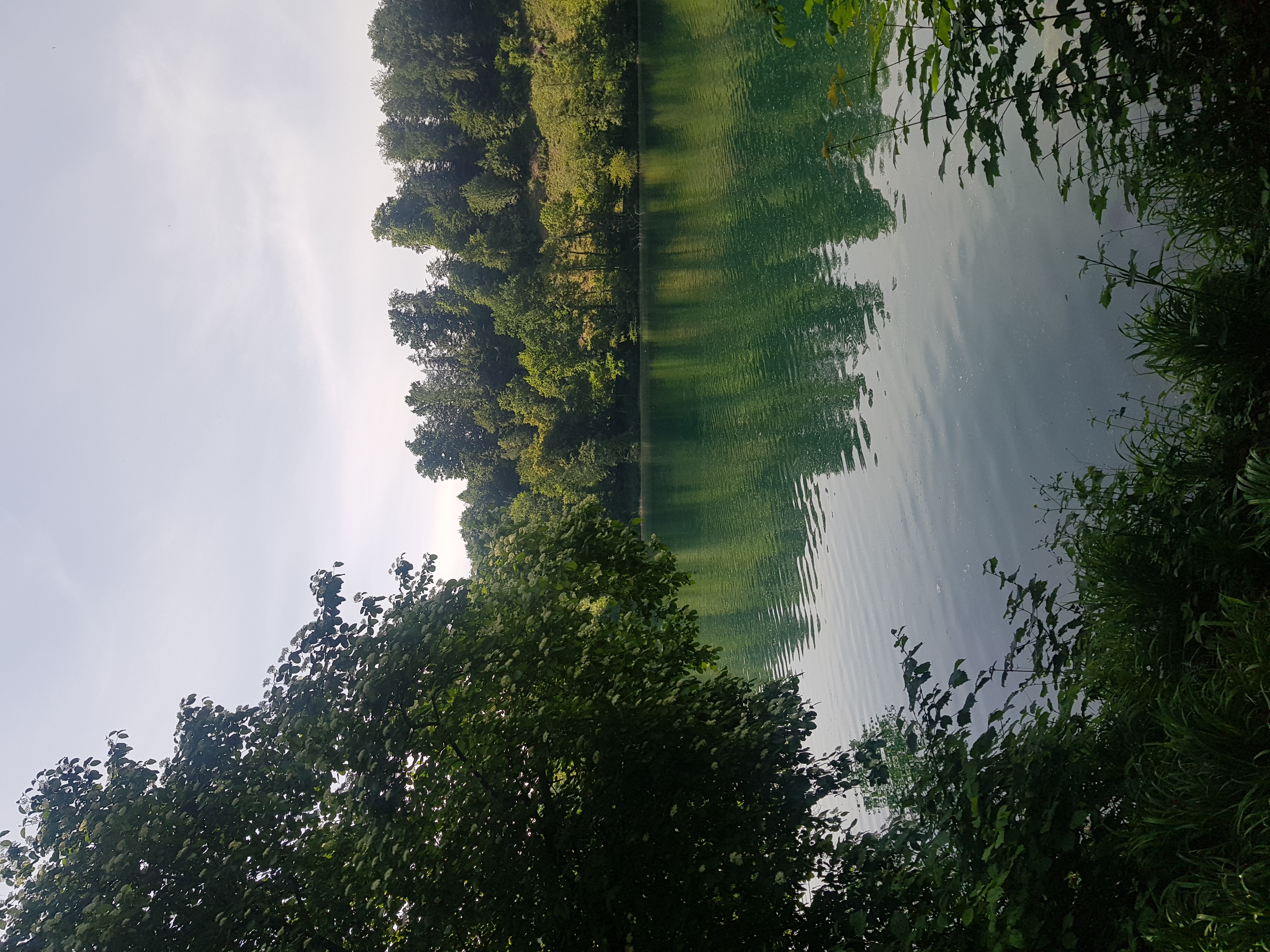 Rotsee