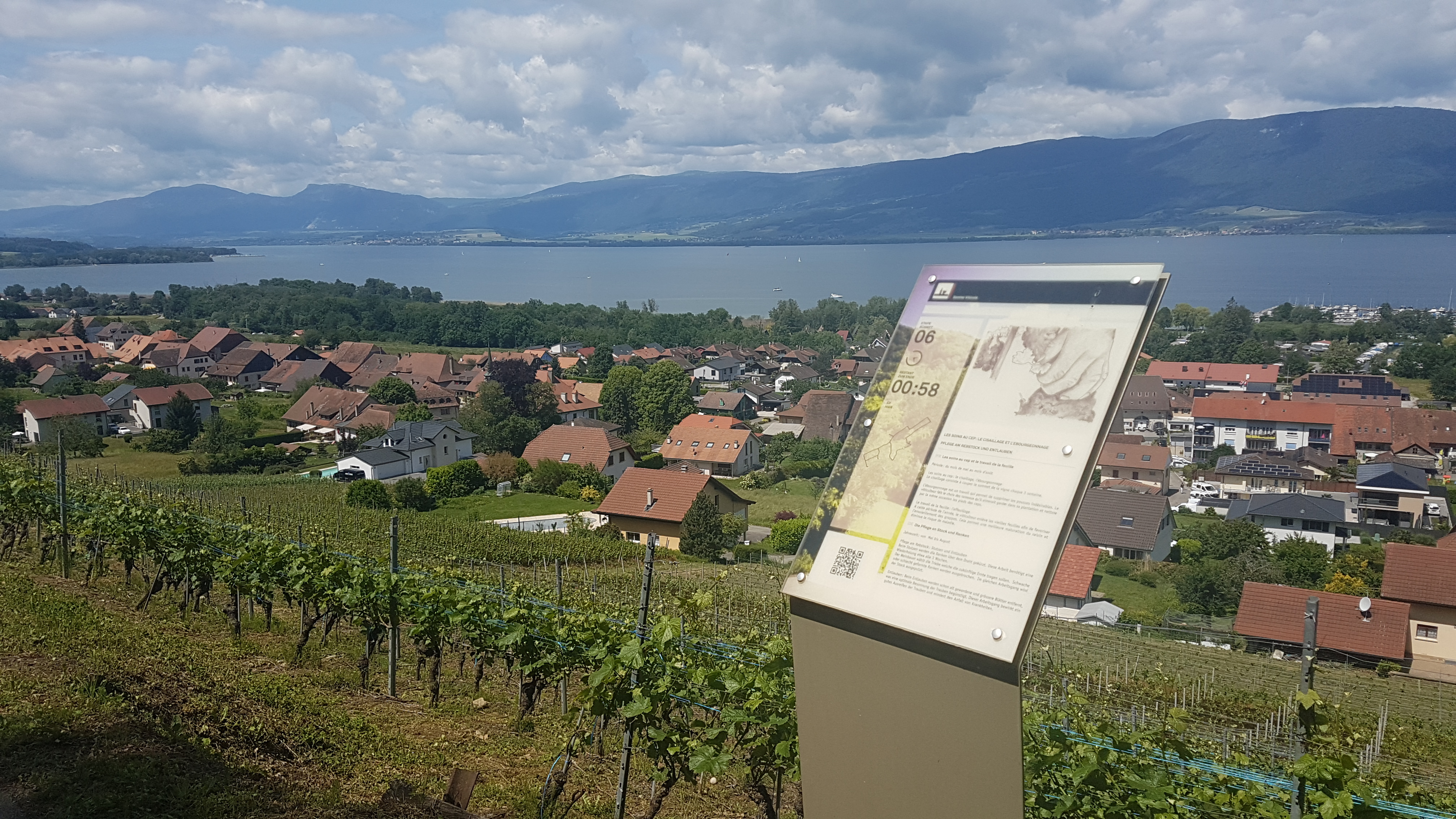 Sentier viticole de Cheyres