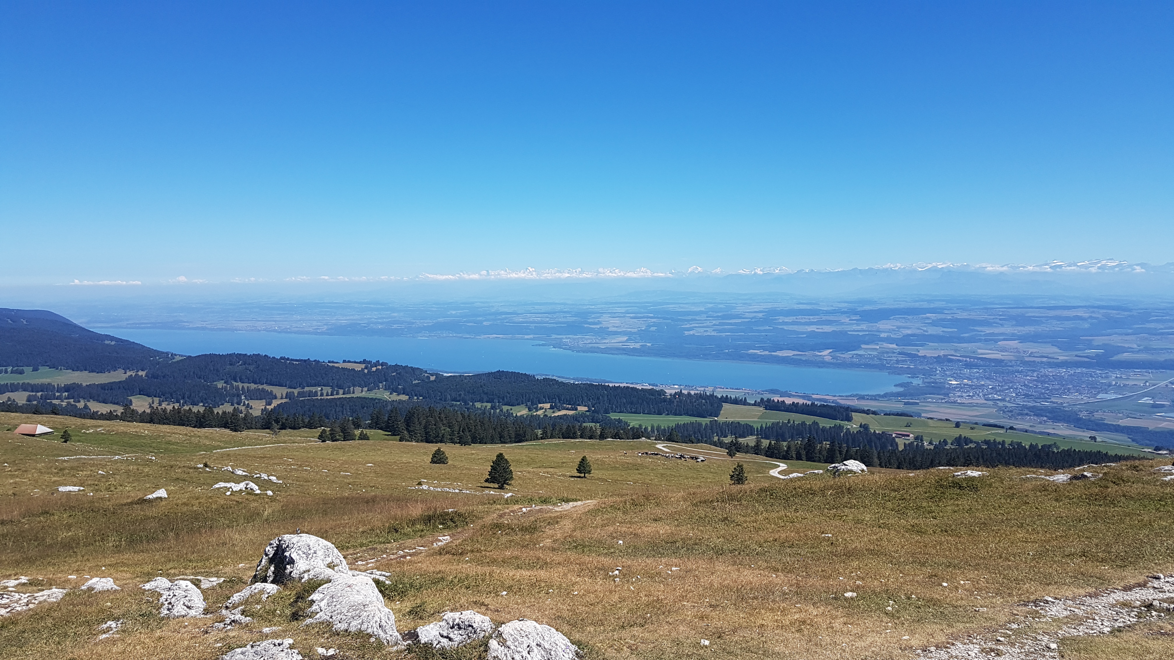 Chasseron