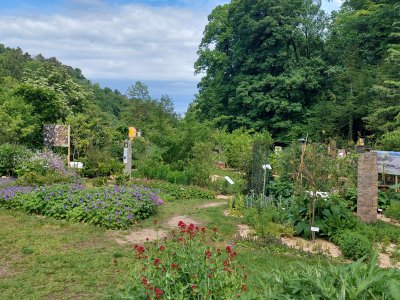 <p>Le jardin botanique de Neuchâtel</p>