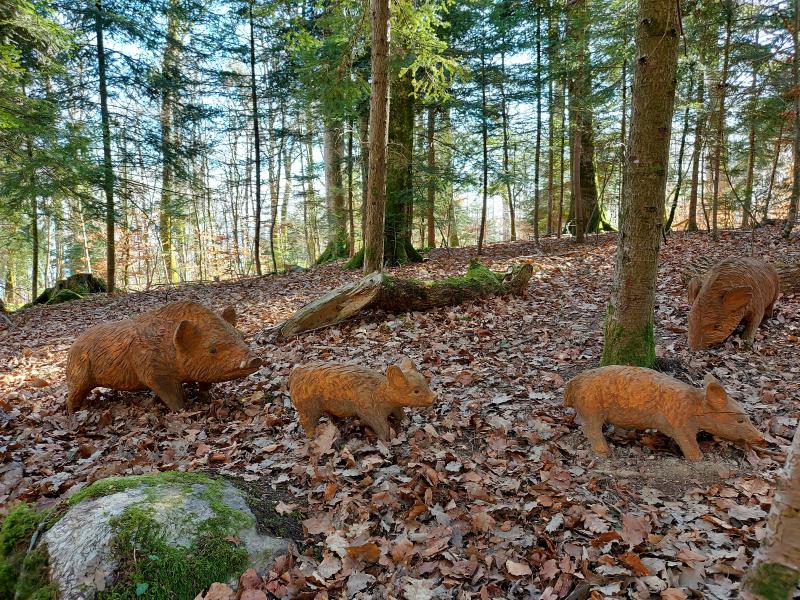 Sentier forestier de Peseux