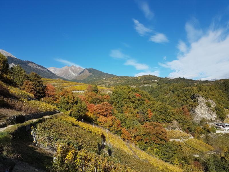 Bisse du Mont d'Orge et de Lentine