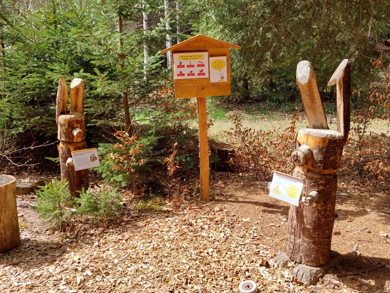 Sentier mycologique didactique