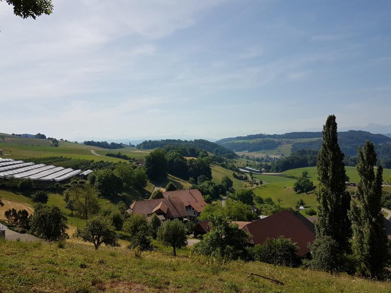 Bolligen Bantiger Krauchthal