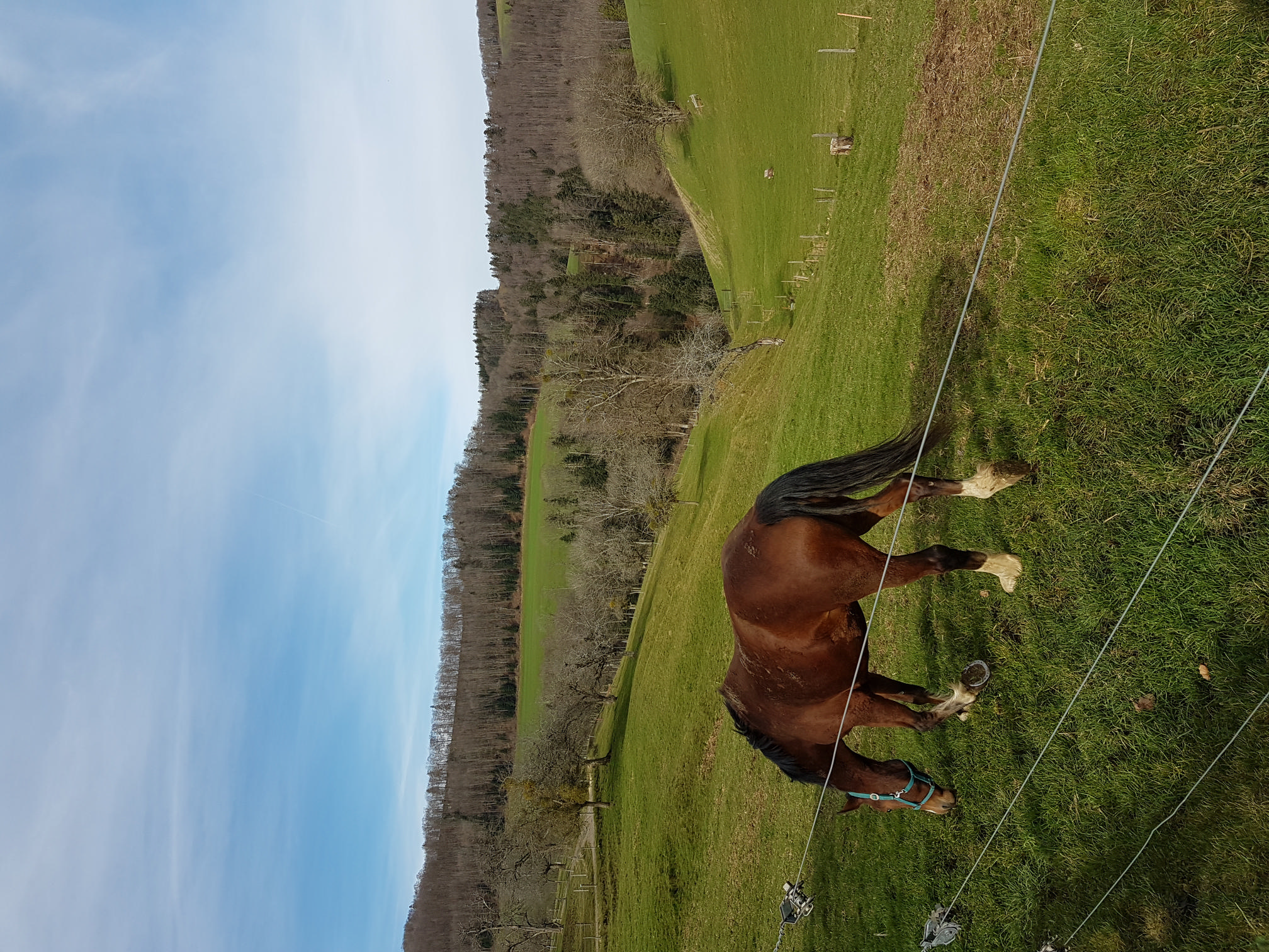 Bourrignon - Pleigne par Lucelle