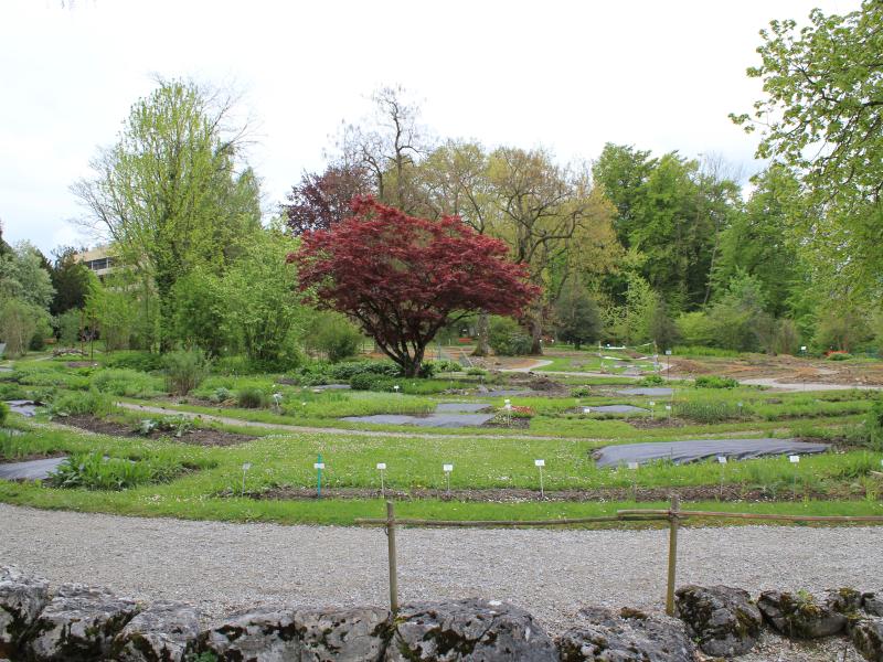 Jardin botanique de Fribourg