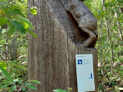 <p>Le Palaeolagus est l'encêtre des lapins et des lièvres actuels</p>