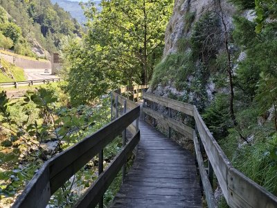 Passerelle en bois