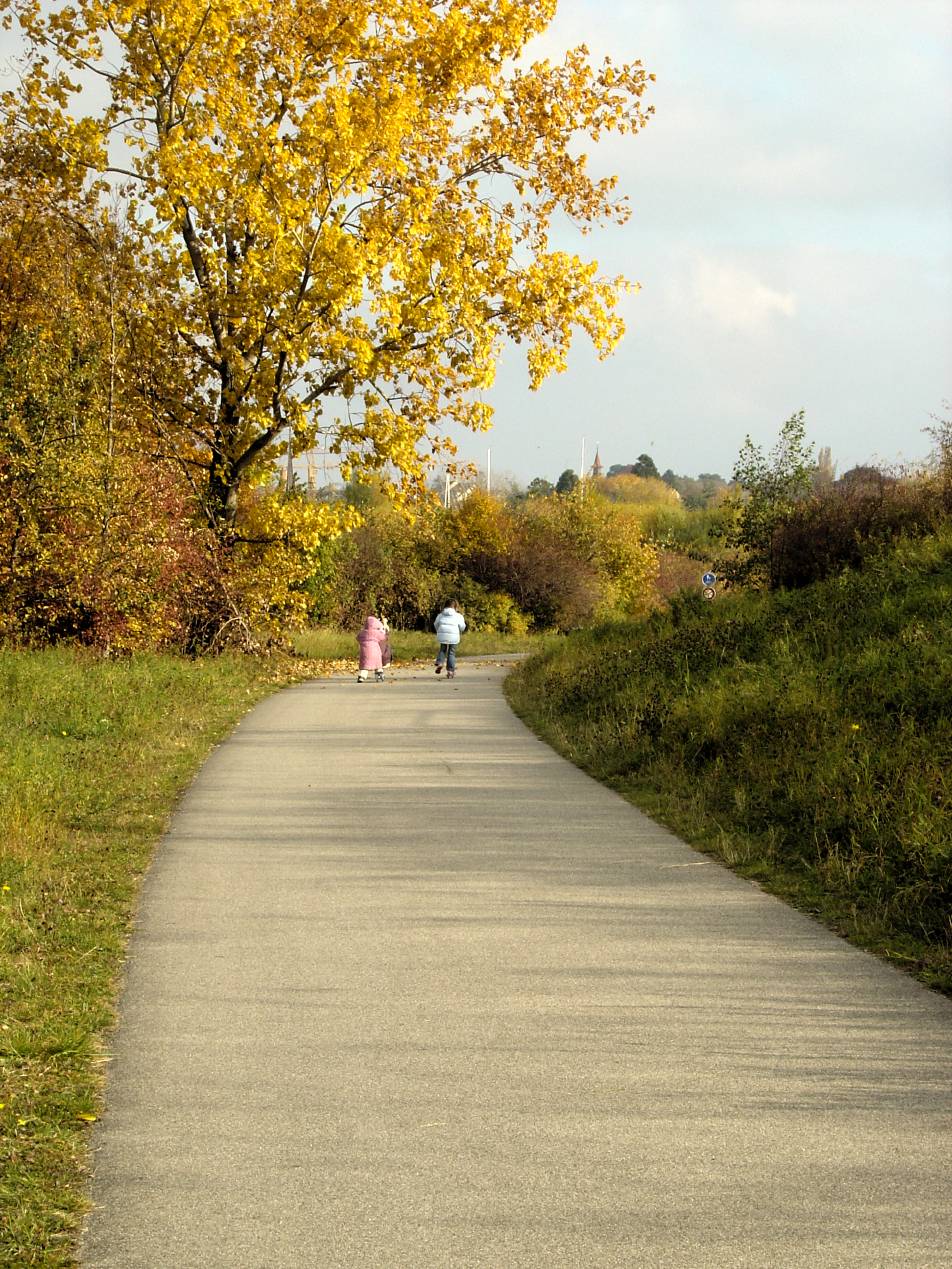Sentier du Lac (de Hauterive à St-Blaise)