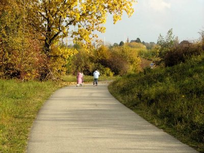 Le chemin goudronné reliant Hauterive à St-Blaise