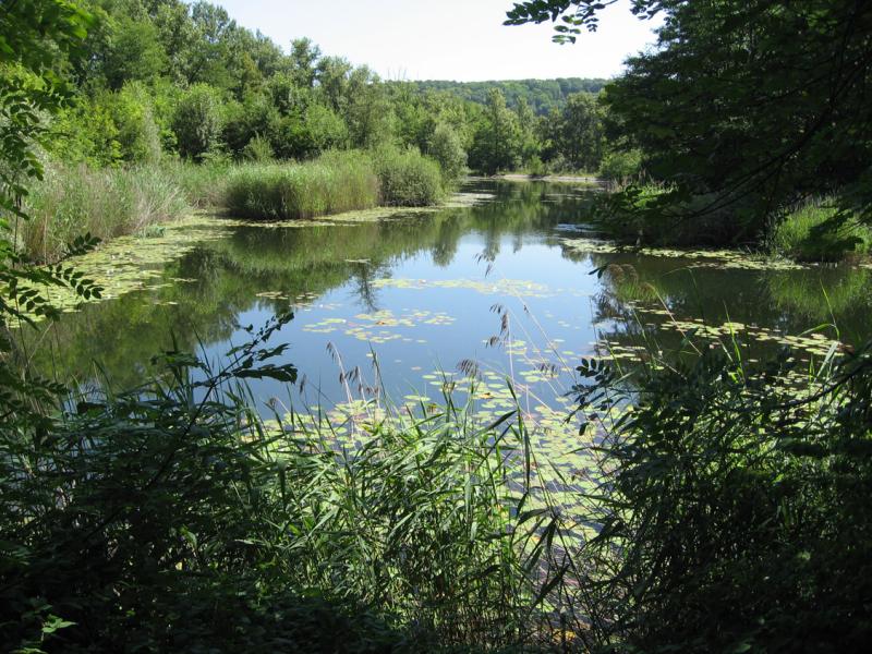 Moulin de Vert